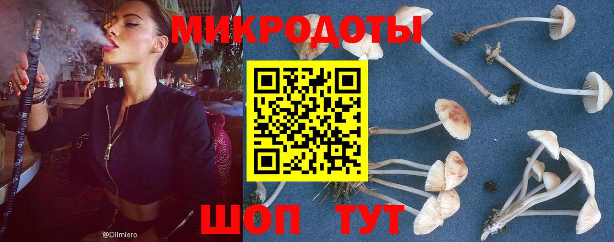 Луга  где можно купить наркотик  Псилоцибиновые грибы Psilocybe  Вход с VPN  Галлюциногенные грибы Magic Shrooms 