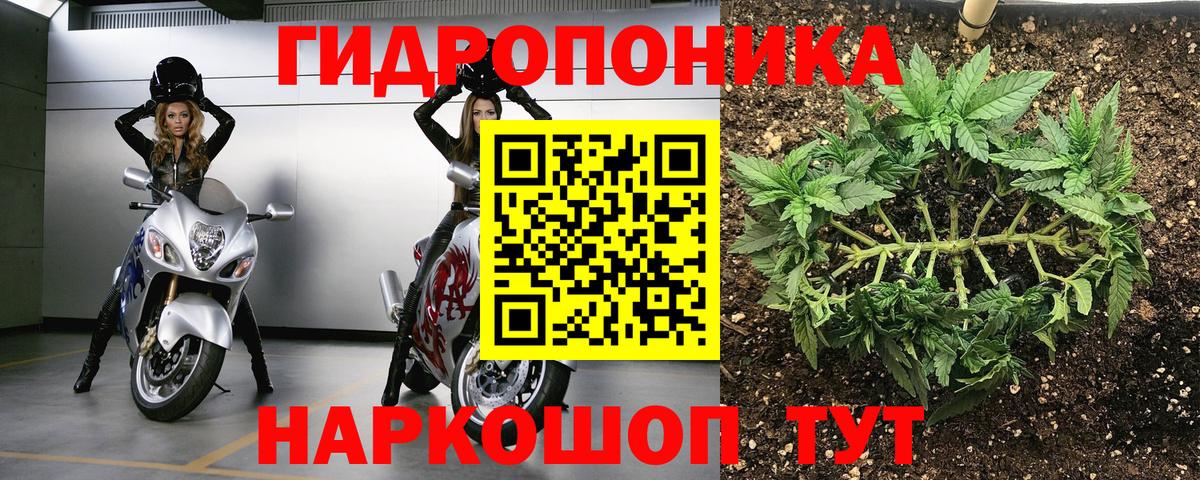 Марихуана AK-47  Конопля планчик  МАРИХУАНА OG Kush  Вход с VPN  Луга  Шишки марихуана индика 